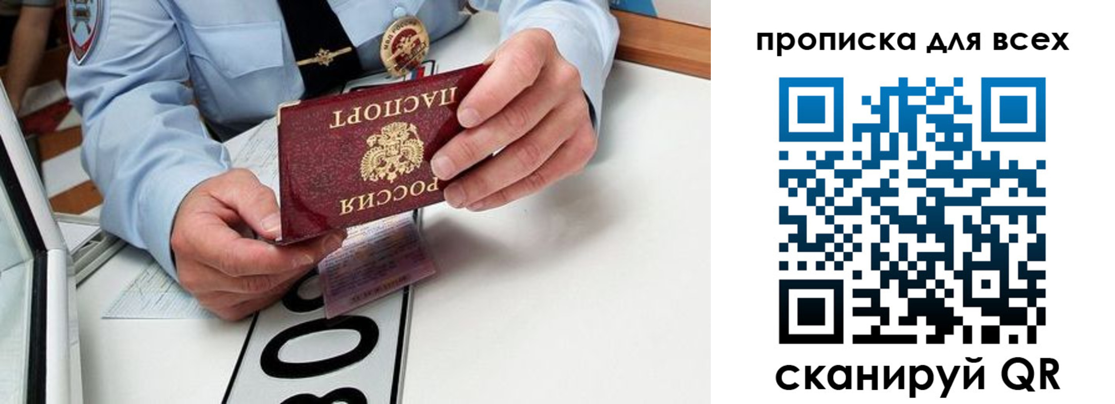 прописка для школы в Кировске